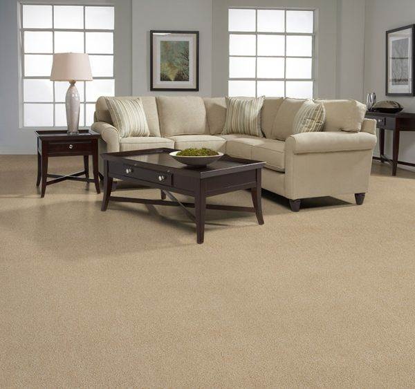 Modern Carpet Trends That Are Transforming Auckland Homes